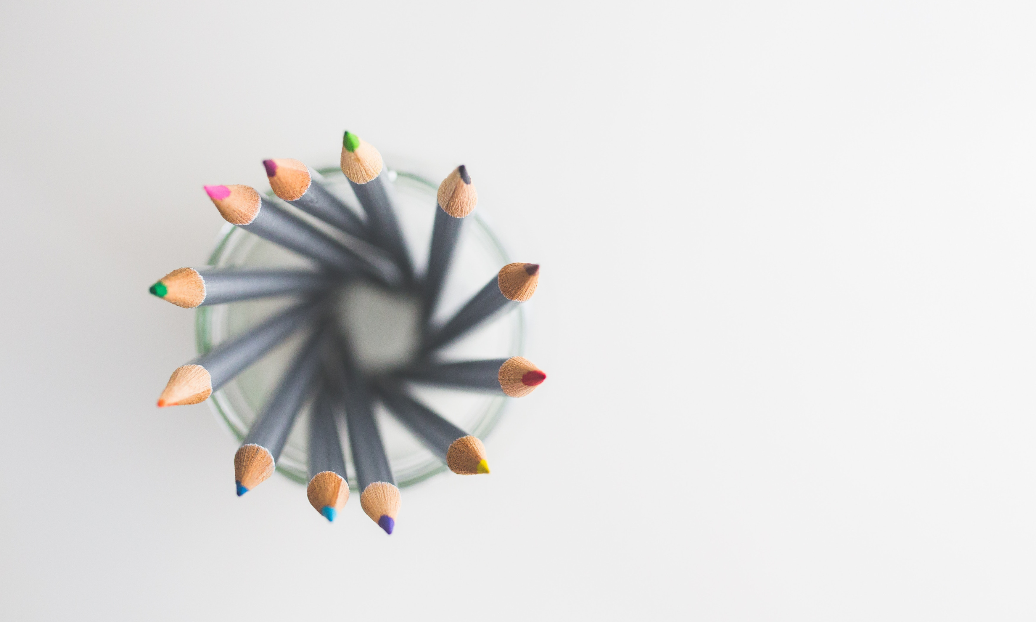 many pencils, blank canvas
